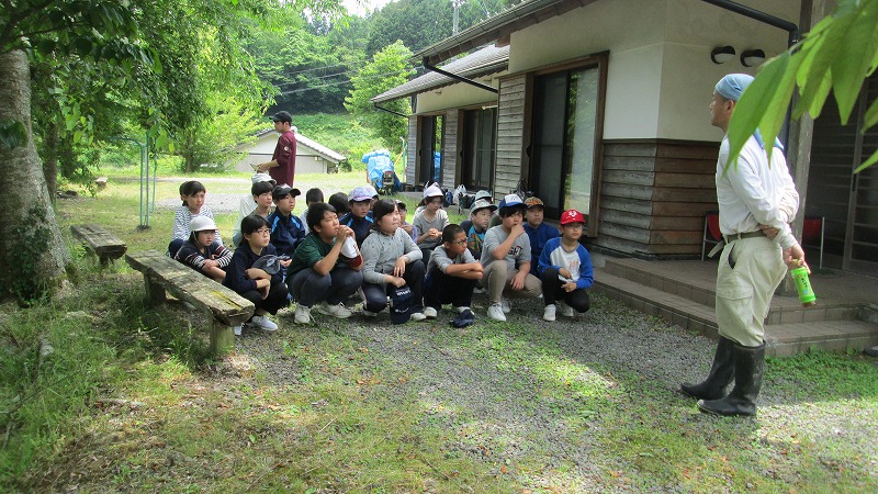 ６年生田植えをしました６/６