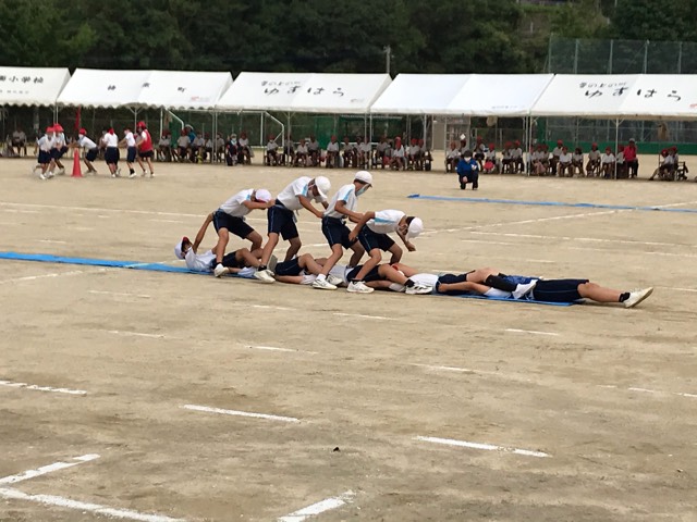 52355BDD-CCD4-4A98-A791-0E10C1424C20